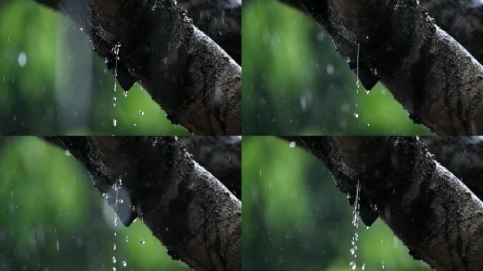 雨滴从顶部流下来