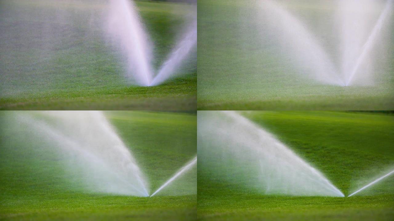草洒水器的中等镜头将水溅到草坪上