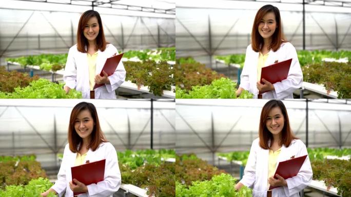 亚洲妇女在水力农场收获新鲜蔬菜