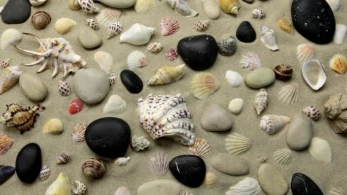 沙滩上贝壳和石头的彩色背景。缩放海滩背景。