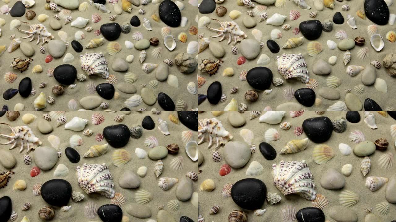 沙滩上贝壳和石头的彩色背景。缩放海滩背景。