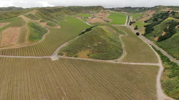 葡萄园鸟瞰图山区丘陵大规模种植现代农业