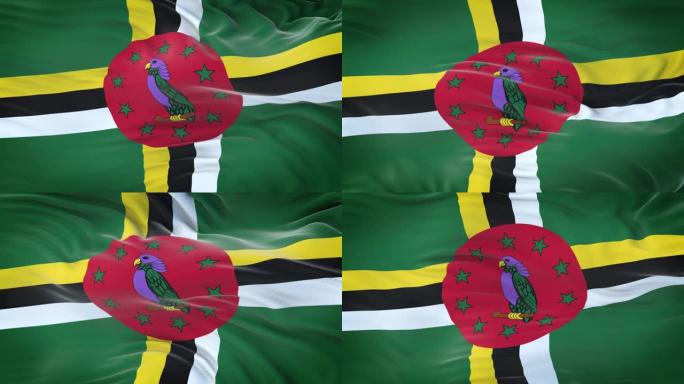 多米尼加国旗迎风飘扬，织物质地细腻。无缝循环