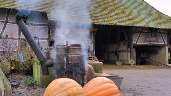 蒸炉从农场烹饪南瓜和动物蔬菜