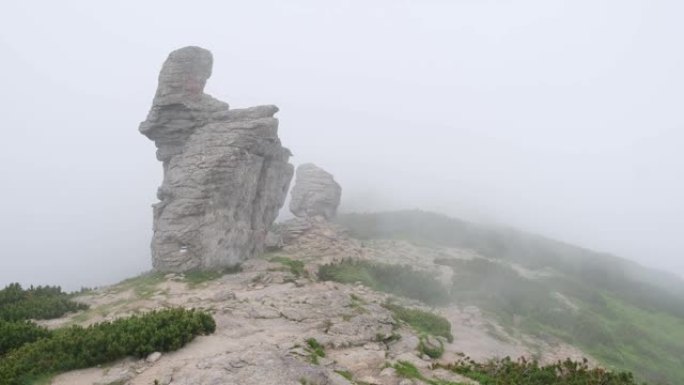 夏日雾蒙蒙的早晨多云喀尔巴阡山脉 (乌克兰Chornohora range)