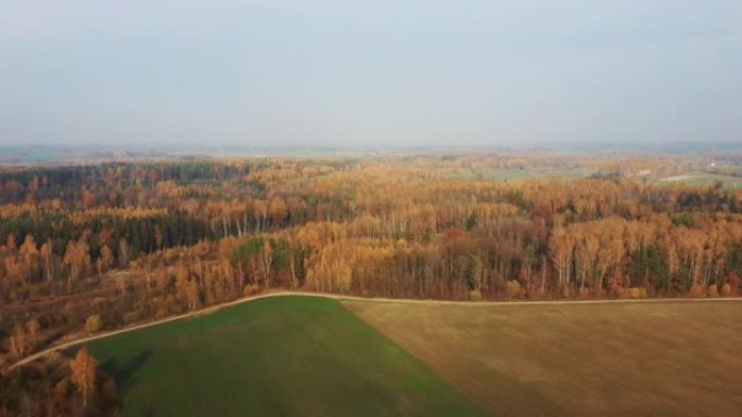 秋天的鸟瞰图。风景，树木有红色和橙色的叶子，森林有五颜六色的树木。无人机在树木和草地上向后飞行