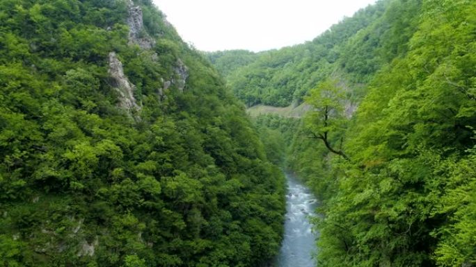 莫拉卡山河峡谷的鸟瞰图。