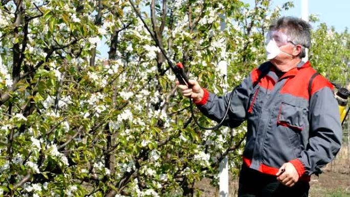 喷洒苹果园农作物农产品防虫害