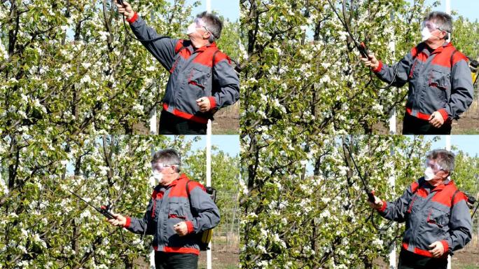 喷洒苹果园农作物农产品防虫害
