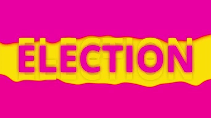 2020年选举投票登记时尚简约动画