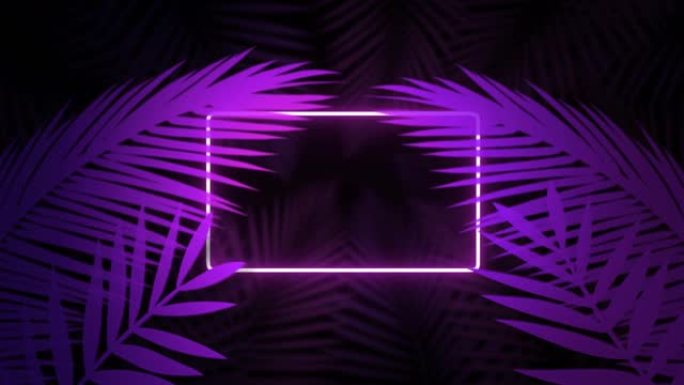 霓虹灯发光的矩形框架出现在多风的夜晚的热带森林中，用时尚的唯美紫光照亮棕榈树。2D渲染动画，带有用于