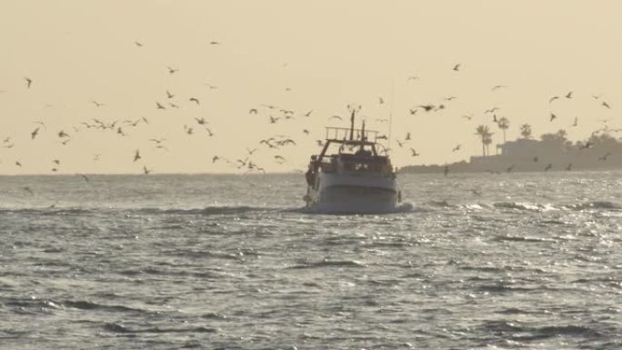 海鸥在日落时分飞向港口的渔民船