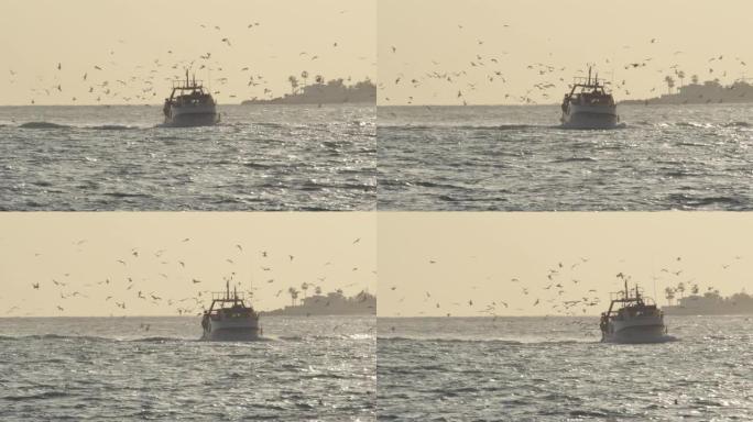 海鸥在日落时分飞向港口的渔民船
