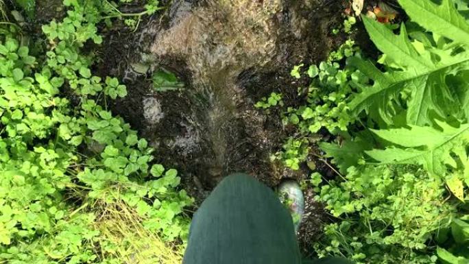 一位穿着胶靴的女游客徒步旅行者沿着streem小溪行走，然后从天然山泉中收集清水，从绿色的草丛和苔藓
