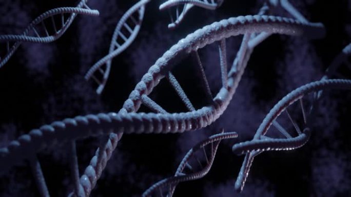 蓝色背景上旋转的DNA分子的3D渲染动画。