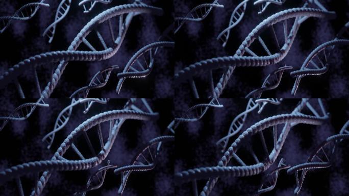 蓝色背景上旋转的DNA分子的3D渲染动画。