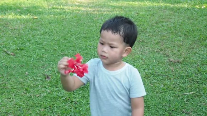 一个玩花的男孩