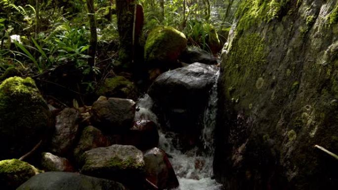 斯里兰卡中部省山溪: 指节山脉