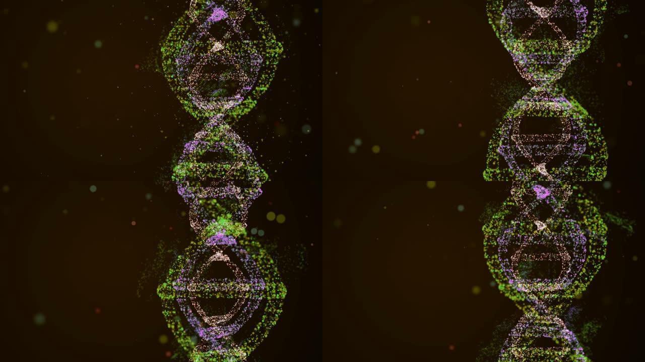 进入DNA链的旅程。复杂的dna全息图在许多散景粒子之间旋转的4k视频。
