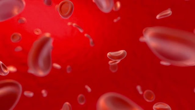 血液和红细胞，抽象概念，生命与健康，3d渲染。