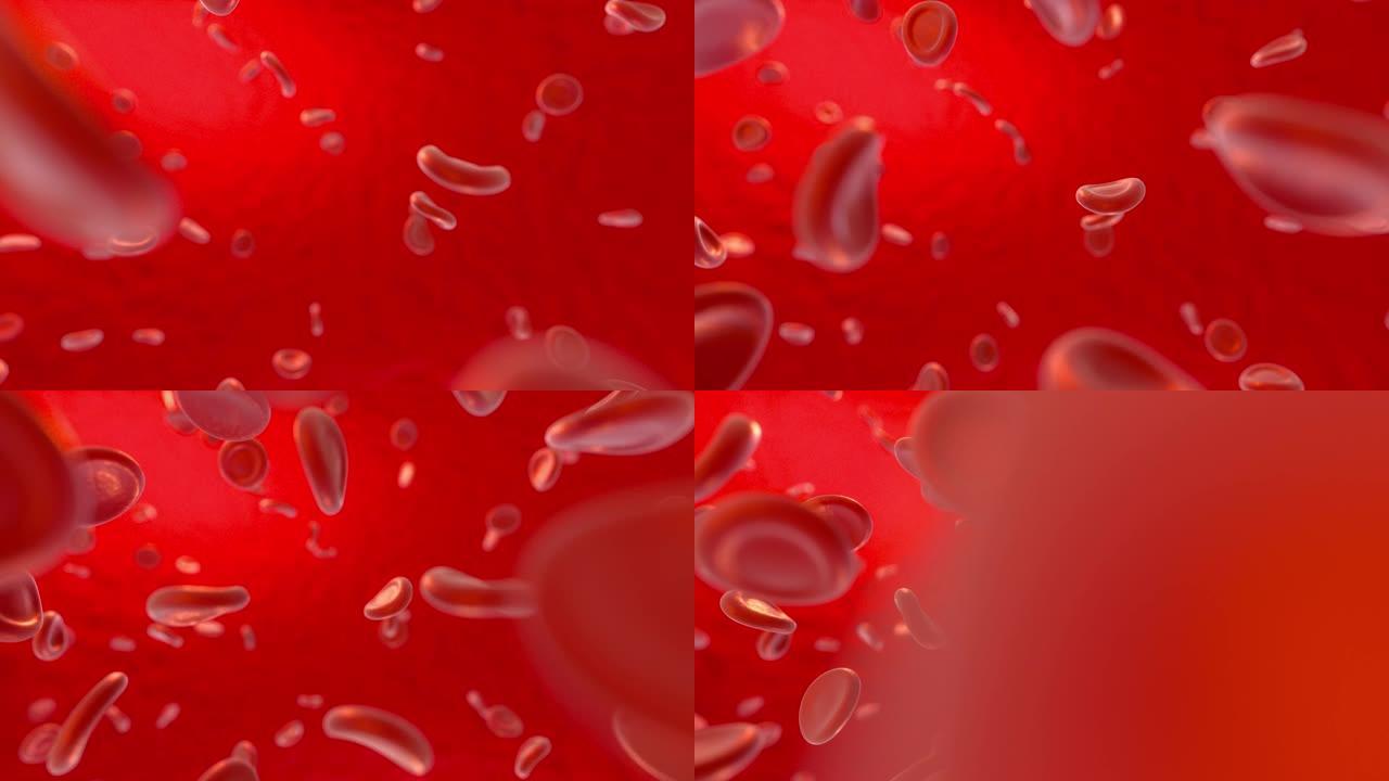 血液和红细胞，抽象概念，生命与健康，3d渲染。