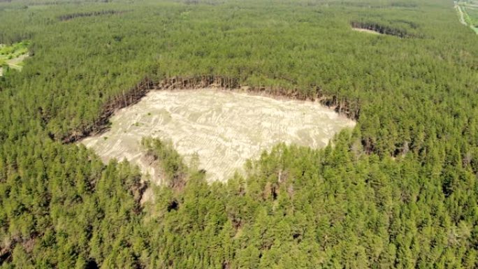 由于非法砍伐森林，针叶松林内大空洞的空中无人机视图。