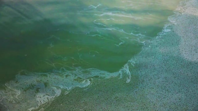 汽油和油膜的污渍海水中的油渍光影污染源