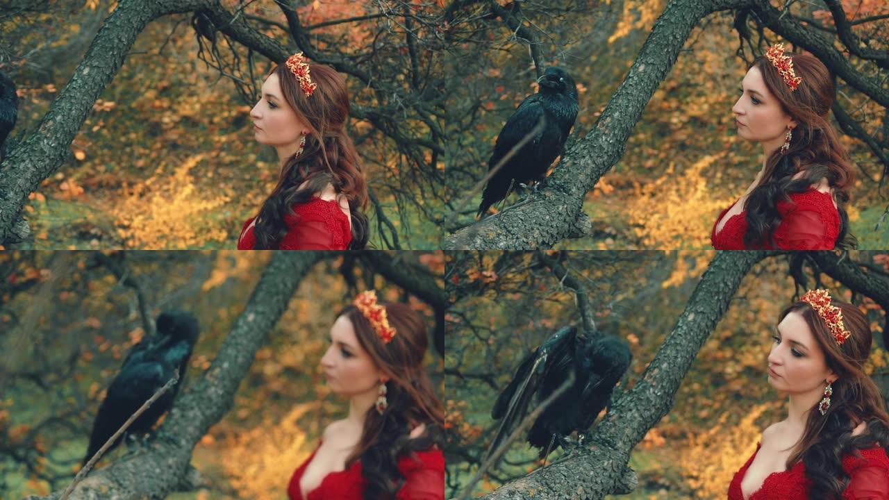 特写肖像女王去鸟。带着爱的温柔看起来。野生乌鸦