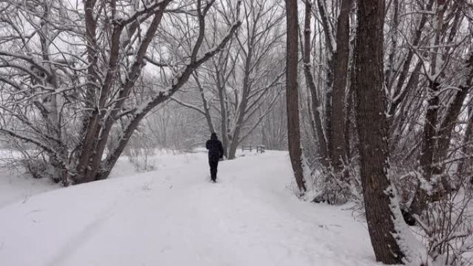 男子冬季行走雪树绳径丹佛科罗拉多州