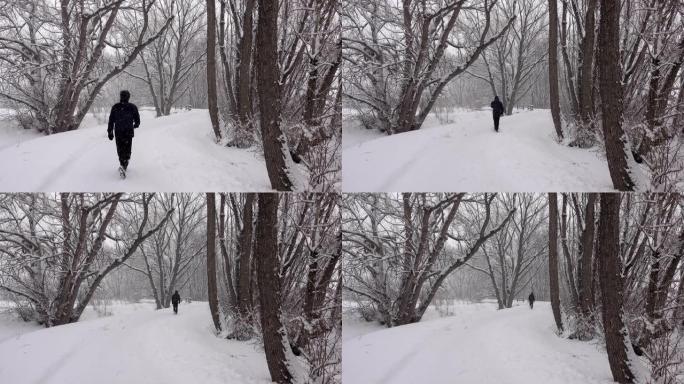 男子冬季行走雪树绳径丹佛科罗拉多州