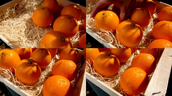 手将令人垂涎的多汁橙子放在木箱中