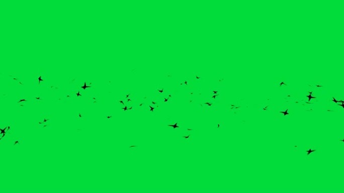 鸟类迁徙绿屏动画