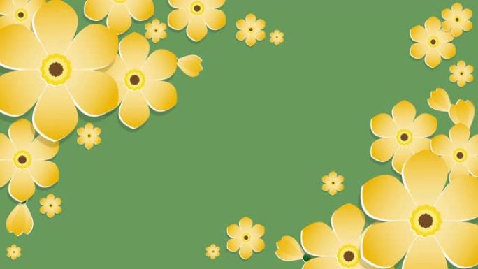 背景动画画面，可爱的黄色花朵在纸艺术风格上绽放在绿色背景上，与您的复制空间。