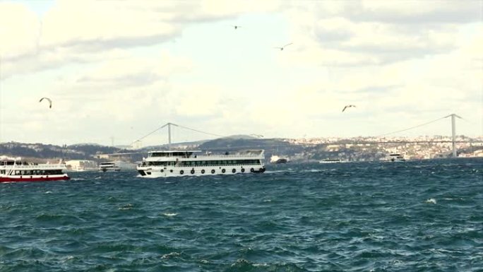 带有土耳其国旗的小型客船。金角湾中的船只运动