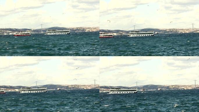 带有土耳其国旗的小型客船。金角湾中的船只运动