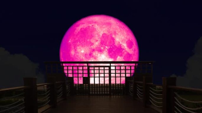 4k超级粉色月亮在夜空的剪影桥上升起
