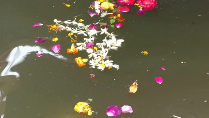不干净的河流和其他污垢中流淌的花卉污染。