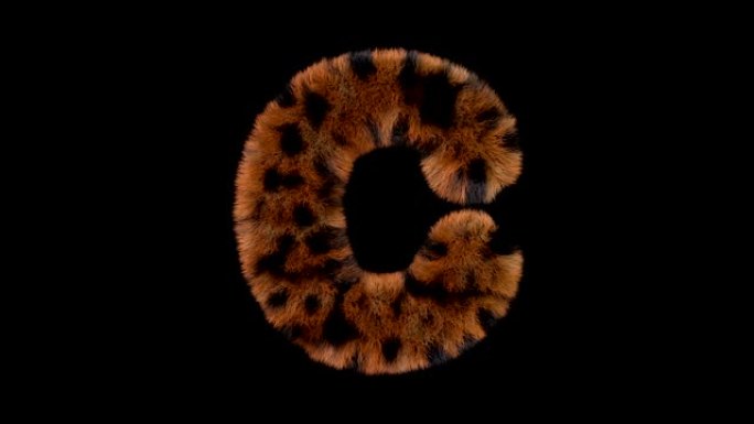 豹子毛茸茸的动画毛茸茸的字母C