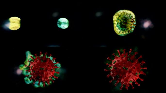 冠状病毒创造三维动画模拟甲流