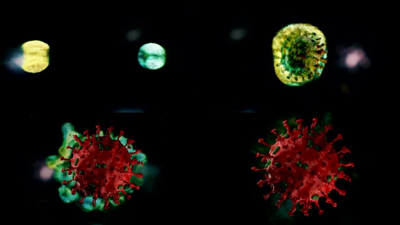 冠状病毒创造三维动画模拟甲流