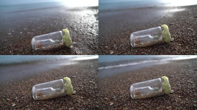 瓶子里的信息高清视频，海波在沙滩上写着 “治愈” 的文字