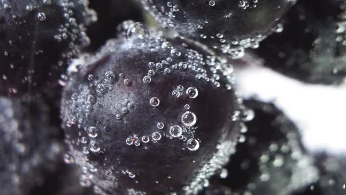 黑色水果葡萄在水中特写。水下有气泡。水果果汁的使用