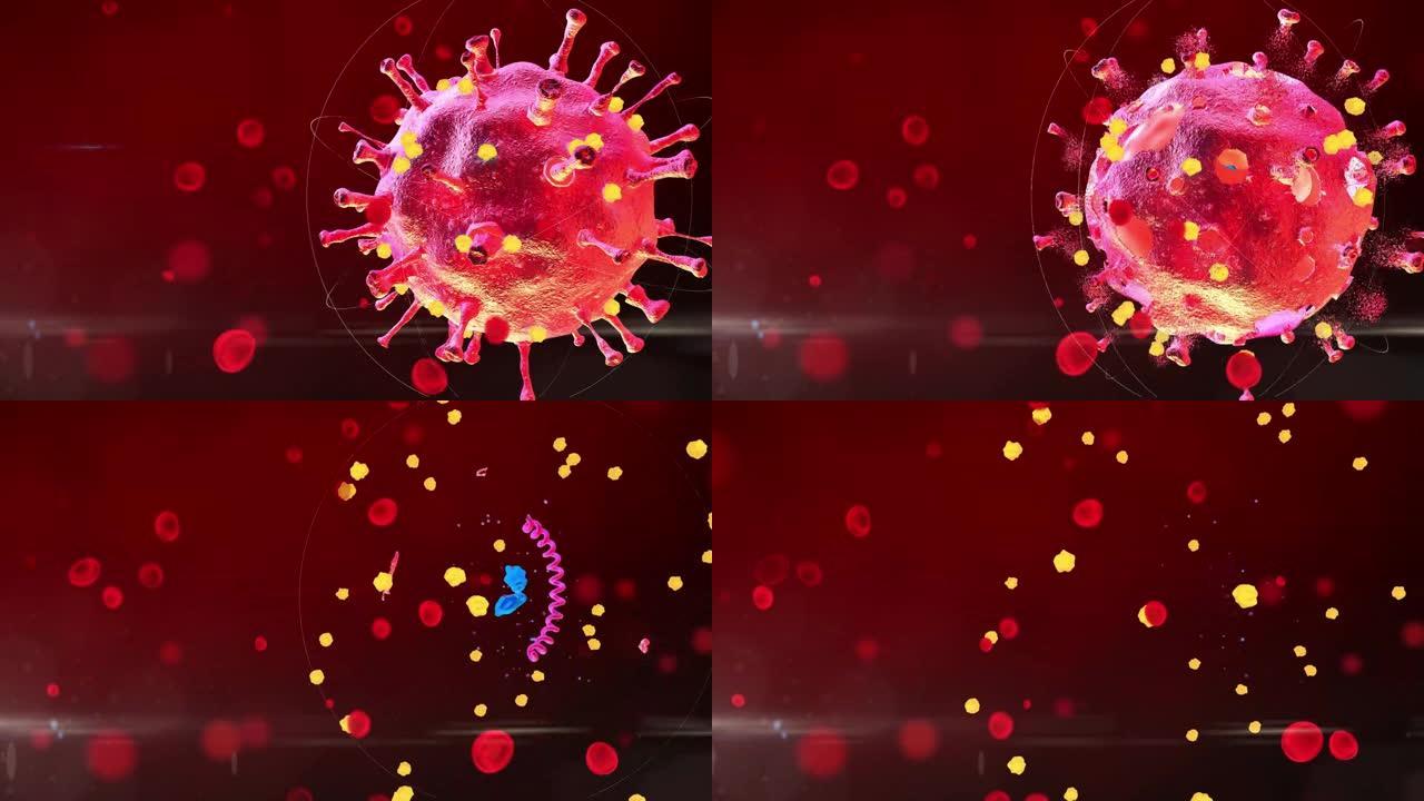 corona病毒流感爆发3D医学插图。漂浮的流感病毒细胞的显微镜观察。危险的亚洲ncov科罗纳病毒，