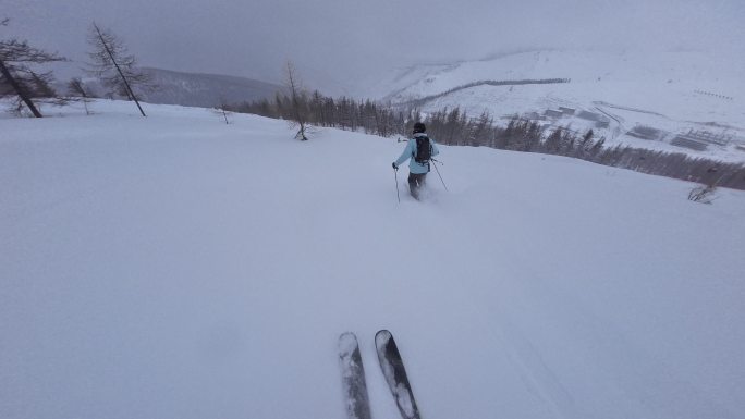 野雪小树林双板滑雪跟拍4K