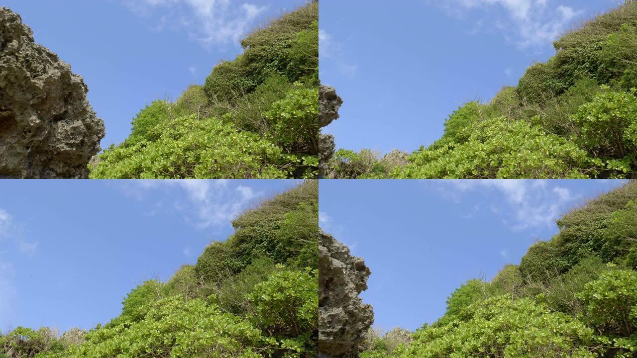拍摄手持的火山岩和热带海滩树木