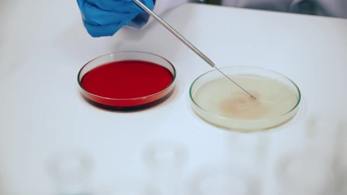 科学家正在试验Covic-19科学 (冠状病毒)，新的流感病毒株。还有病毒。在实验室中使用科学玻璃板
