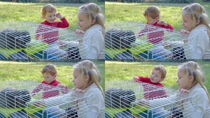 女孩和男孩在绿色草坪上与笼子里的灰兔玩耍