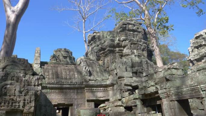 柬埔寨暹粒吴哥窟建筑群塔普伦寺的古老石质遗迹和树根。