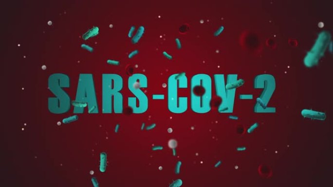 Sars-CoV-2病毒4K 60 FPS视频