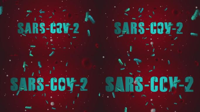 Sars-CoV-2病毒4K 60 FPS视频